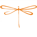 DragonFly 150x150 About Us