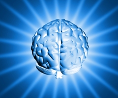 brain sm What Your Brain Knows Now