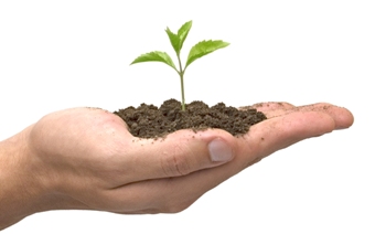 HelpTeamGrow Help.to .grow sm Your Teams Talent May Be Hiding