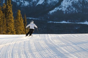 Stacey B. at Nakiska Jan 18 Stacey Mario and Fstyle 009 300x200 Leadership on the Ski Hill Swoosh!