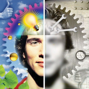 YourBrain YourBrain 300x300 Feeling Busted by Broken Business? Lead Innovation in Opposite Directions