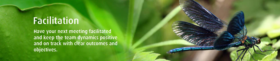 Slide5